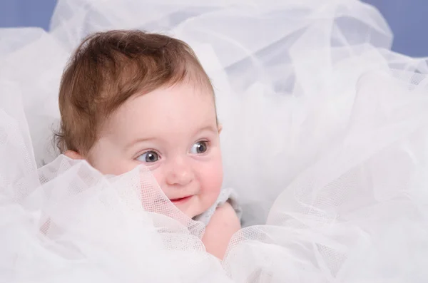 Infant in tulle — Stock Photo, Image
