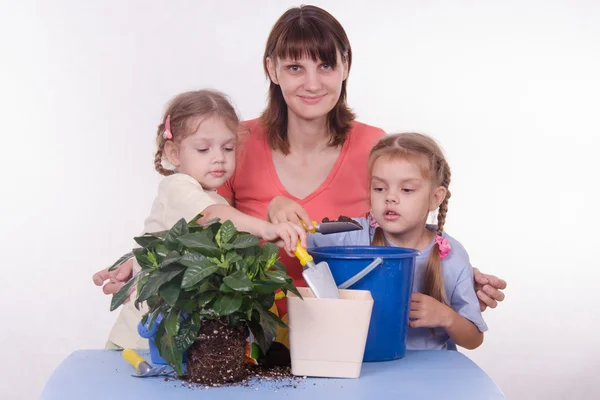 Mom and two daughters transplanted flower room — Stock Photo, Image