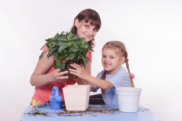 母亲和女儿移植花室 — 图库照片