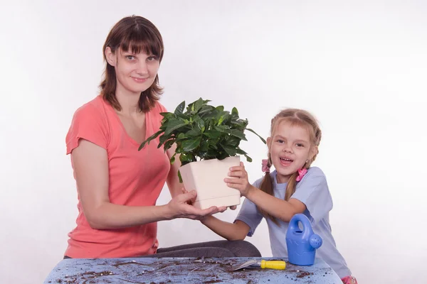 Mãe e filha de mãos dadas na sala de flores — Fotografia de Stock