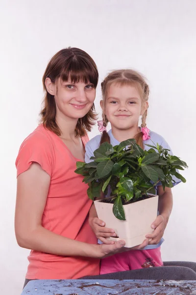 Mom and daughter with a potted flower in hands — Stock Photo, Image