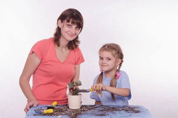 Дочь льет землю в горшок с цветами в горшке — стоковое фото