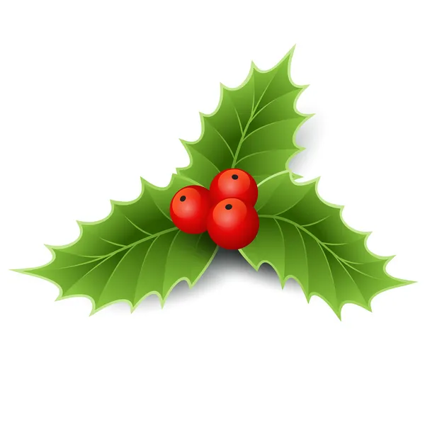 Natale Holly — Vettoriale Stock