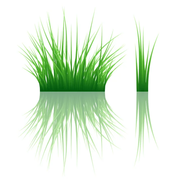 Herbe verte — Image vectorielle