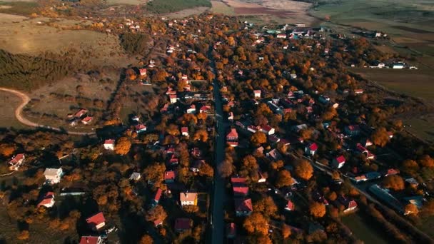 Letecký Pohled Vesnický Podzimní Orbit — Stock video
