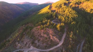Mountainside Kirli Yol Ormanı Günbatımı Drone Hava Aracı Görünümü
