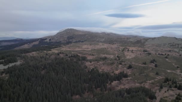 Platoe Dağı Vitosha Ağaçları Leri Eğil Hava Aracı Görünümü — Stok video