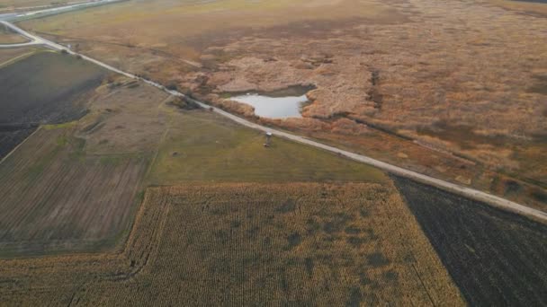 Marsh Farm Land Cold Haze Tilt Drone Aerial View — Vídeos de Stock