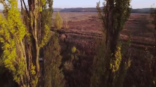 Marsh Cold Haze Pass Reveal Drone Aerial View — Stock videók