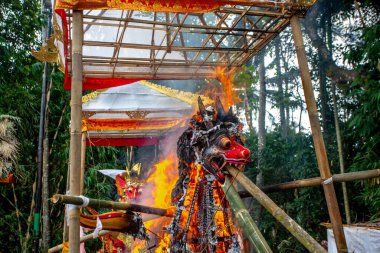 Bali 'de yakma töreni fotoğrafı
