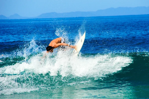 Cavalcata surf Fotografia Stock