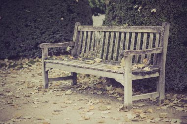 Houten bench in park, paris, Frankrijkahşap Bank Park, paris, Fransa