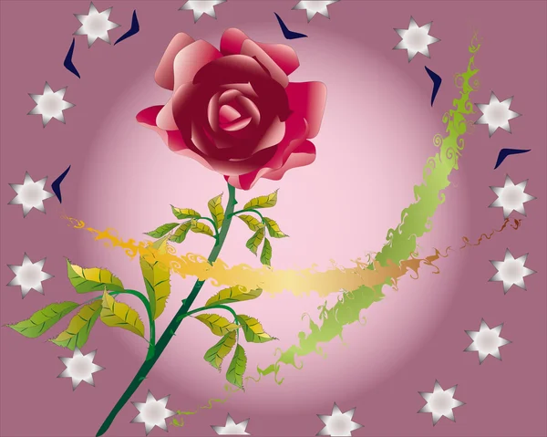 Rose et sterne — Image vectorielle