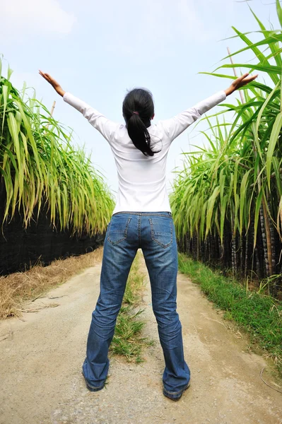 Woman open arms in sugarcane field — Stock Photo, Image