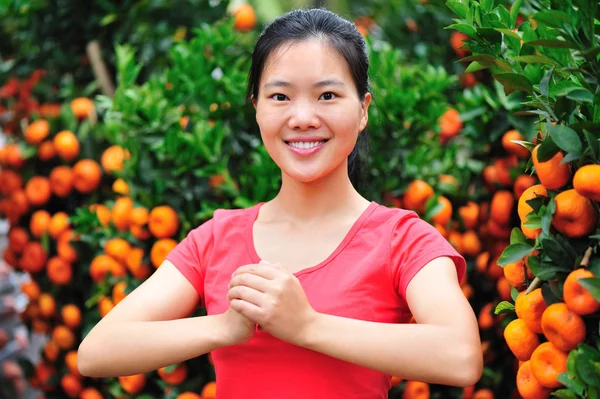 Happy chinese new year — Stock Photo, Image