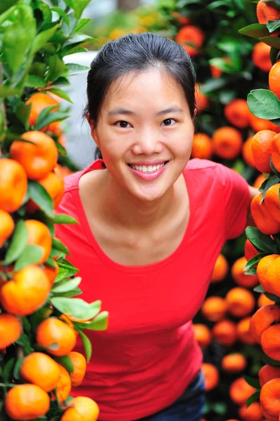 Asian woman and oranges tree — Stock Photo, Image