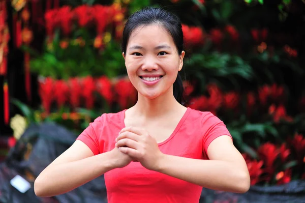 Happy chinese new year — Stock Photo, Image