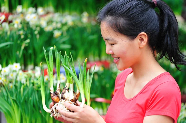 Asian woman with rhizome of daffodil flowers — Stock Photo, Image