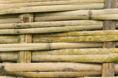 Bambu çit arka plan