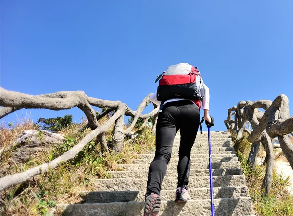 Kobieta piesze wycieczki, wspinaczka na szczyt — Zdjęcie stockowe