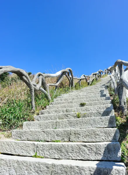 Hiking trail lead to mountain top — Stock Photo, Image