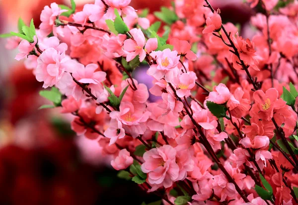 Fake peach flower — Stock Photo, Image