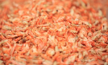 kurutulmuş küçük karides