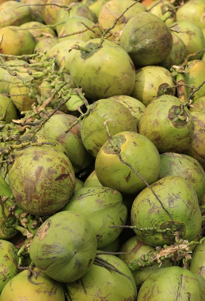 Green coconut — Stock Photo, Image