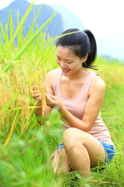 Woman in paddy field — Stock Photo, Image