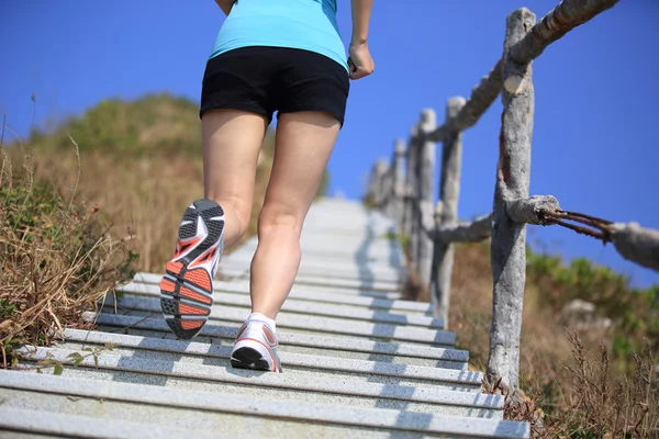 Sube las escaleras de montaña — Foto de Stock