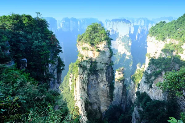 Zhangjiajie Ulusal Orman Parkı — Stok fotoğraf