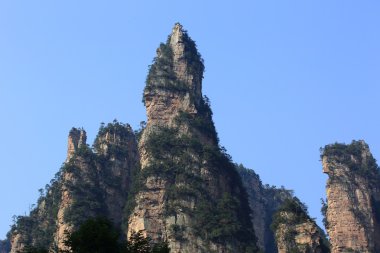 National forest park