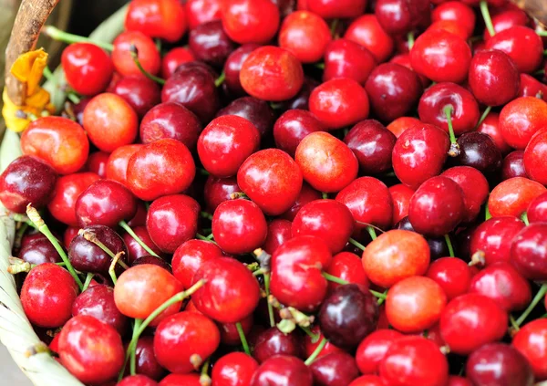 Cereza roja — Foto de Stock