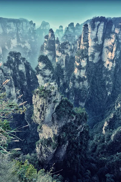 Zhangjiajie-Nationalpark — Stockfoto