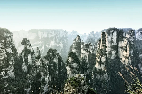 Parc national de Zhangjiajie — Photo