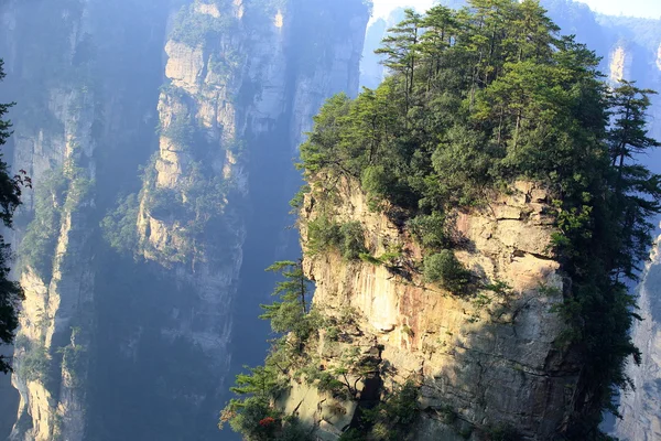 Parque nacional Zhangjiajie —  Fotos de Stock