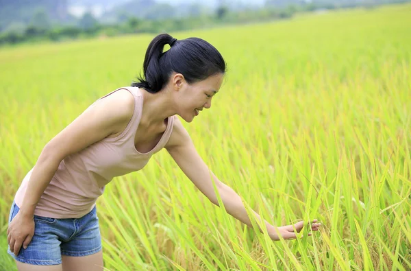 Young asian woman touch rice grain — Stock Photo, Image