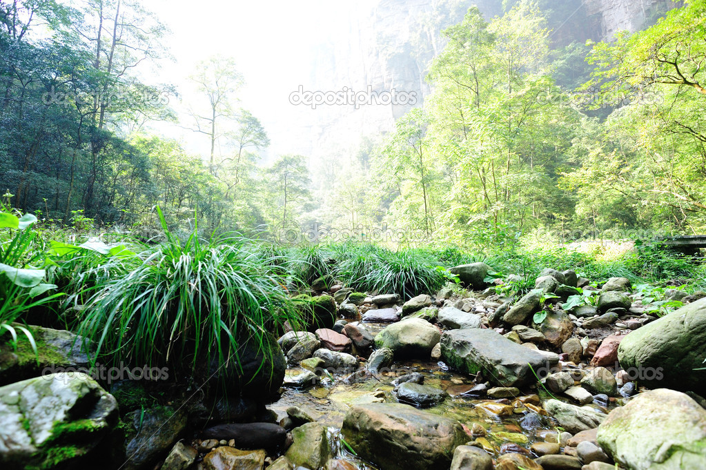 Golden whip brook in zhangjiajie national forest park