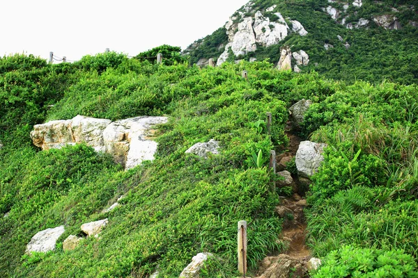 Parque forestal nacional — Foto de Stock