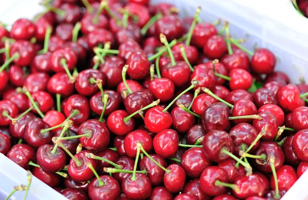 Frutas de cereja — Fotografia de Stock