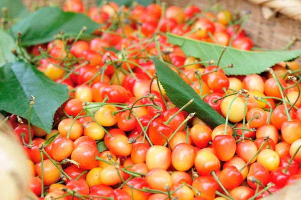 Frutas de cereza — Foto de Stock