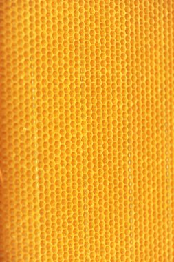 Bal Tarağı Arkaplanı