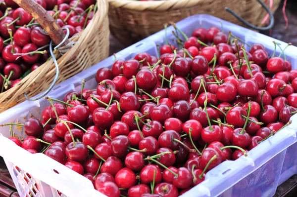 Picked fresh red cherry fruits — Stock Photo, Image