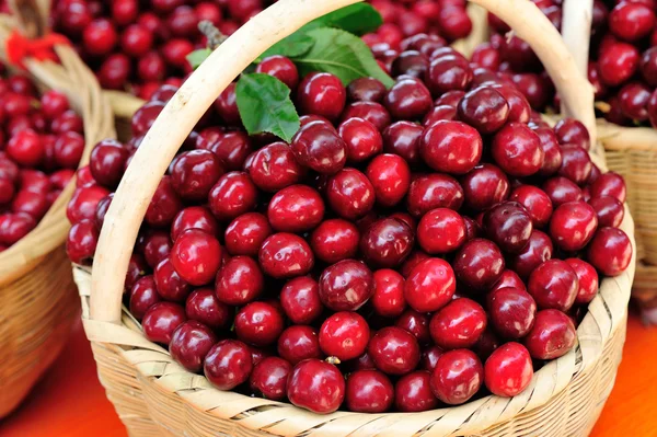 Gepflückt frische rote Kirschfrüchte — Stockfoto