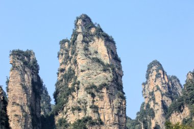 National forest park