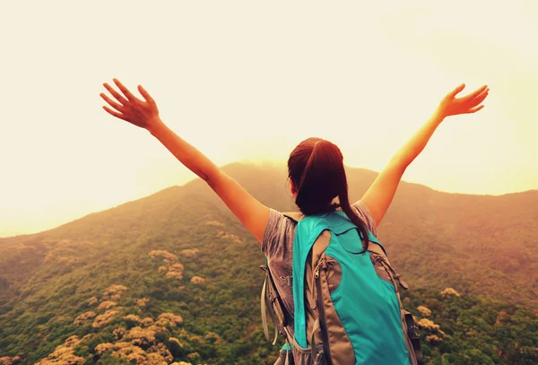 Mujer disfrutar de la hermosa vista en la cima de la montaña — Foto de Stock