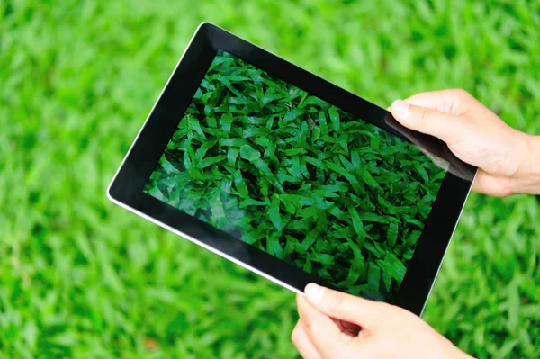 Kvinna använda digital tablet sitta på gräset — Stockfoto