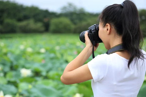 Fotógrafo tomando fotos de loto en flor — Foto de Stock