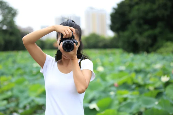 Fotógrafo tomando fotos de loto en flor — Foto de Stock