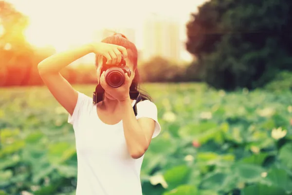 Photographer taking photo of blooming lotus — Stock Photo, Image